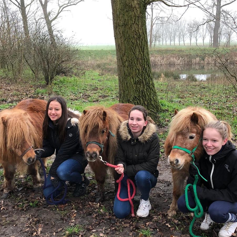 Gastenverblijf Het Voorhuis Holiday home Herpen